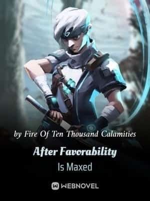 After Favorability Is Maxed novel cover