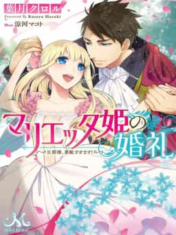 Marietta-hime no Konrei novel cover