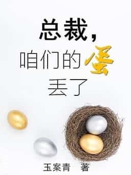 President, Our Egg Is Lost novel cover
