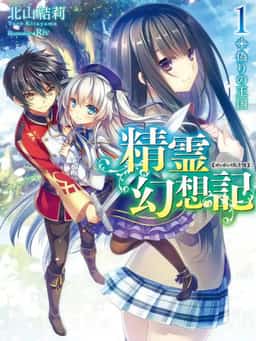 Seirei Gensouki ~Konna Sekai de Deaeta Kimi ni~ novel cover