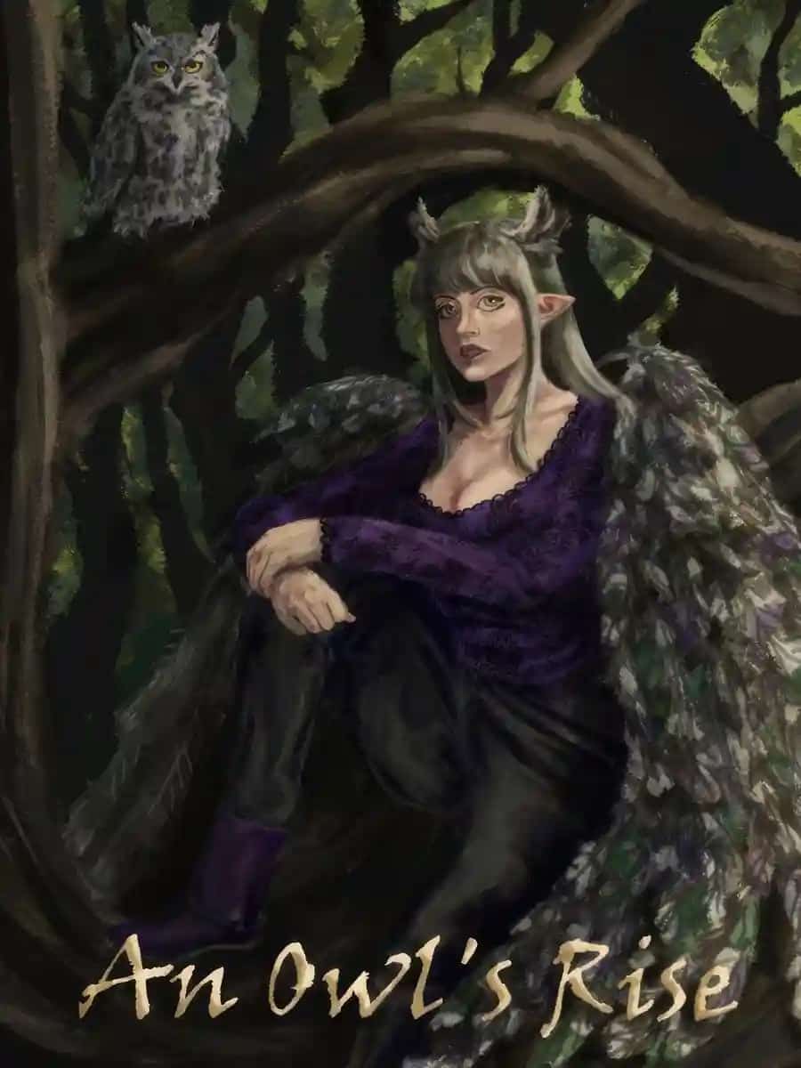An Owl's Rise novel cover