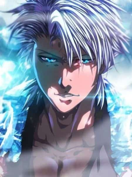 Bleach: The Strongest Shinigami, Hitsugaya Toshiro novel cover