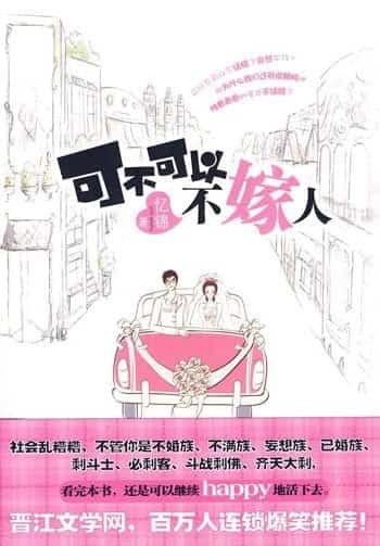 Can I Not Marry novel cover