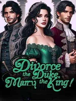 Divorce The Duke, Marry The King! novel cover