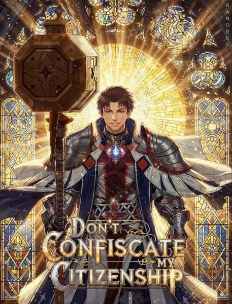 Don’t Confiscate My Citizenship novel cover
