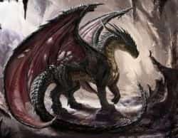 Dragon Gods Reign novel cover