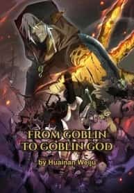 From Goblin to Goblin God novel cover