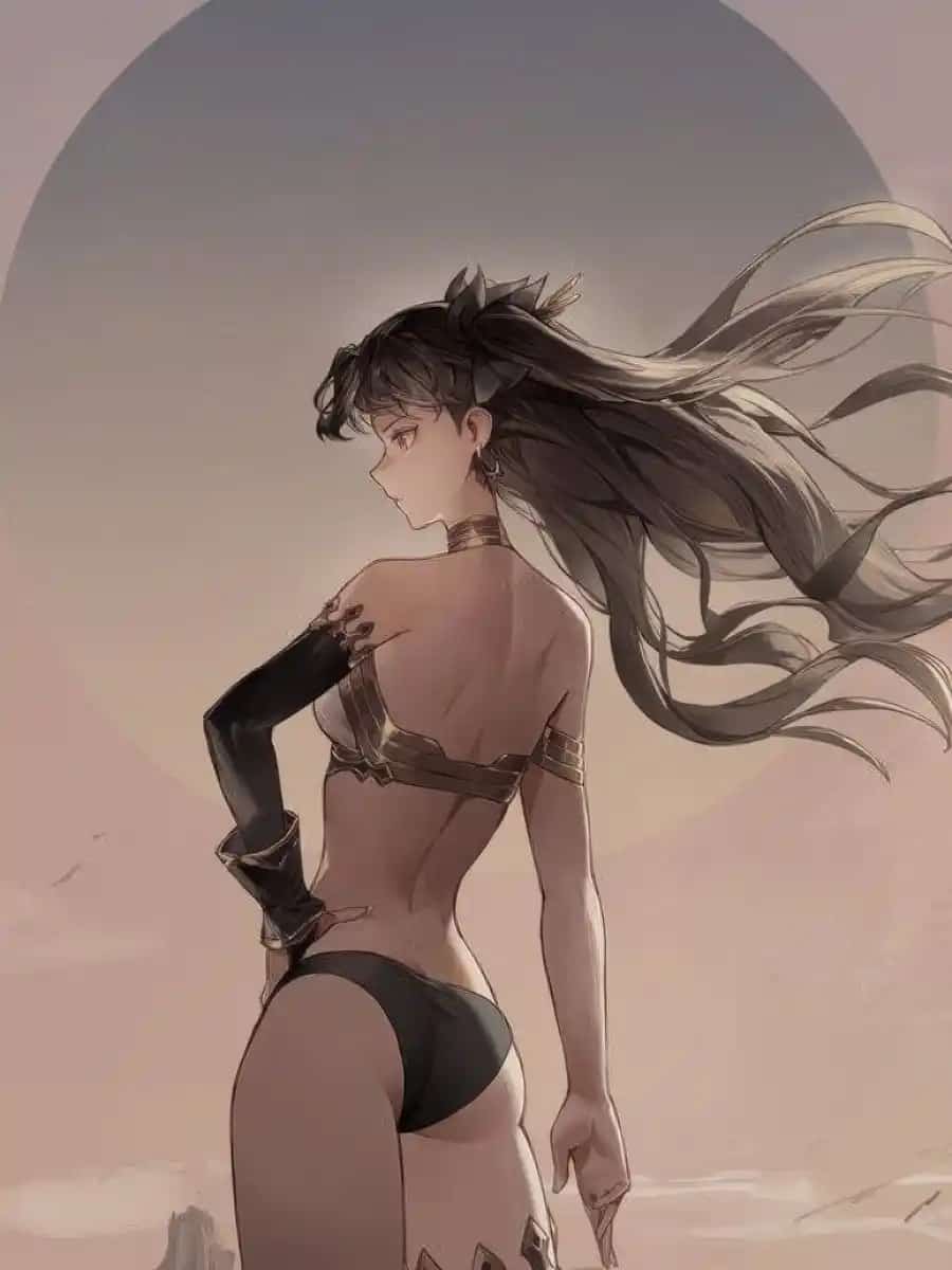 Game Developer : Starting with Fate series novel cover