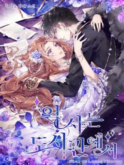 History at the Library novel cover