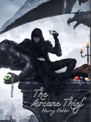 HP: The Arcane Thief novel cover