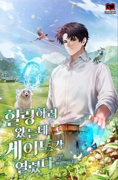 I came for Healing, but a Gate Appeared novel cover