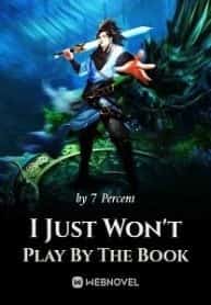 I Just Won t Play By The Book novel cover