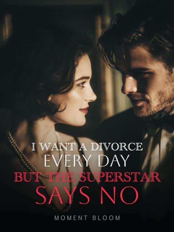 I Want a Divorce Every Day, But the Superstar Says No novel cover