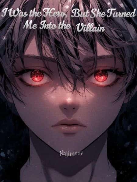 I Was the Hero, But She Turned Me Into the Villain novel cover