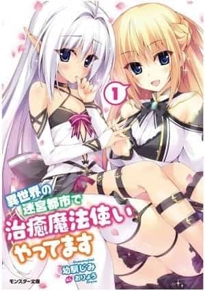 I Work As A Healer In Another World's Labyrinth City (LN)