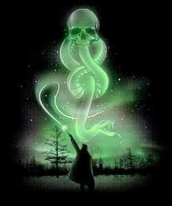 In the Harry Potter Without Harry Potter novel cover
