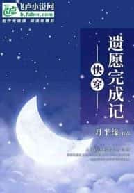 Journey Through Realms: Fulfilling Last Wishes novel cover