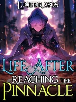 Life After Reaching The Pinnacle novel cover