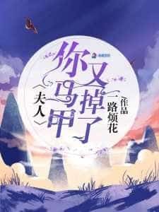 Madam, Your Vest Fell Again novel cover