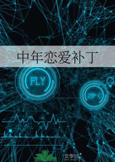 Middle-aged Love Patch novel cover