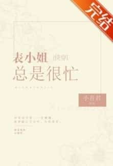 Miss Cousin is Always Busy novel cover
