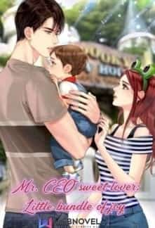 Mr. CEO sweet lover: Little bundle of joy novel cover