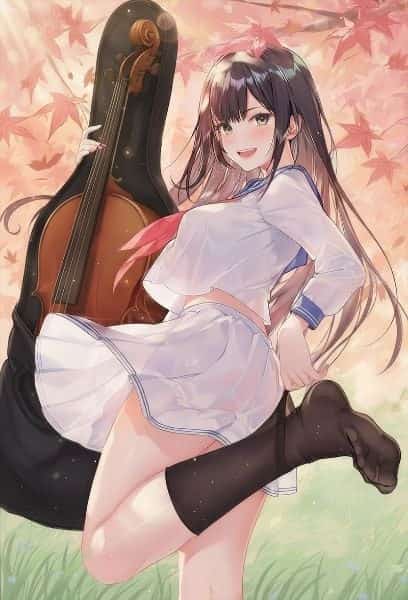My Girlfriend Is a Cello Player novel cover