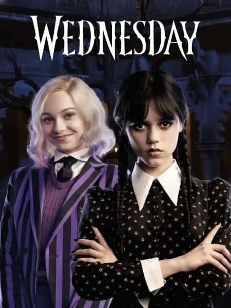 My Life in Wednesday With a Vampire System novel cover
