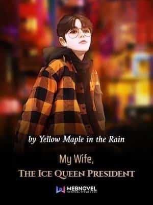 My Wife, The Ice Queen President novel cover