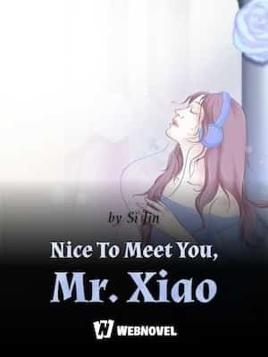 Nice To Meet You, Mr. Xiao