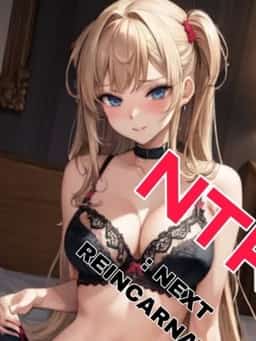 NTR : Next Reincarnated novel cover