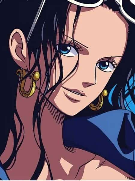One Piece : Bounty Hunter King! novel cover