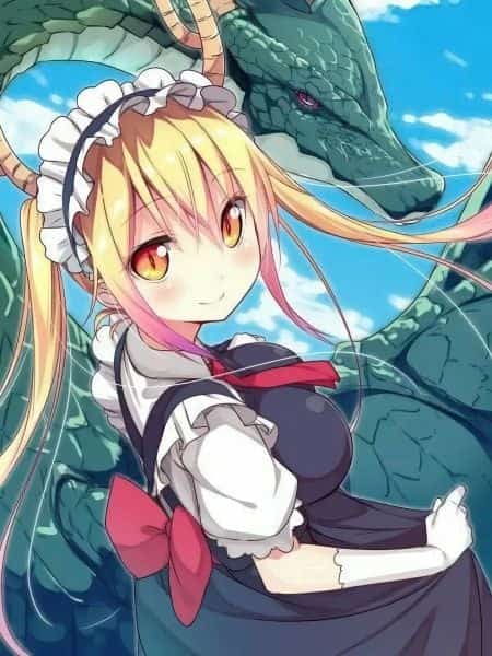 One Piece: Started by Catching Dragon Maid Tohru novel cover
