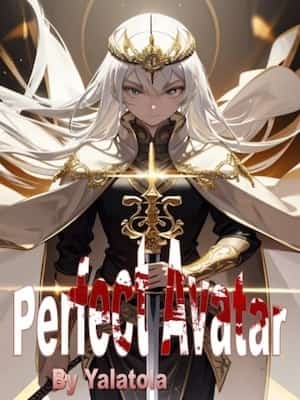 Perfect Avatar novel cover