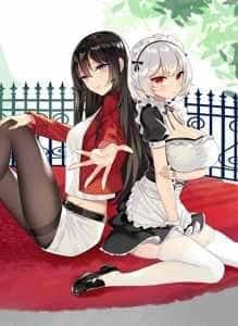 Picked up a Demon King to be a Maid novel cover