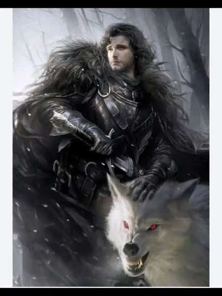 Q&A System in Game of Thrones novel cover