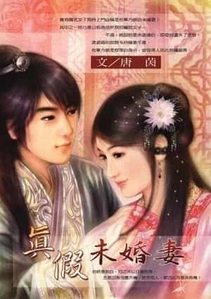 Real Fake Fiance novel cover