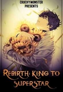 Rebirth: King to Superstar novel cover