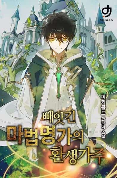 Reborn as the Head of the Stolen Mage Family novel cover