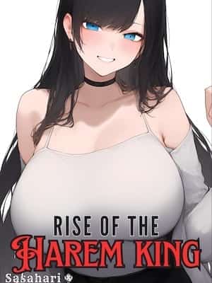 Rise of the Harem King novel cover