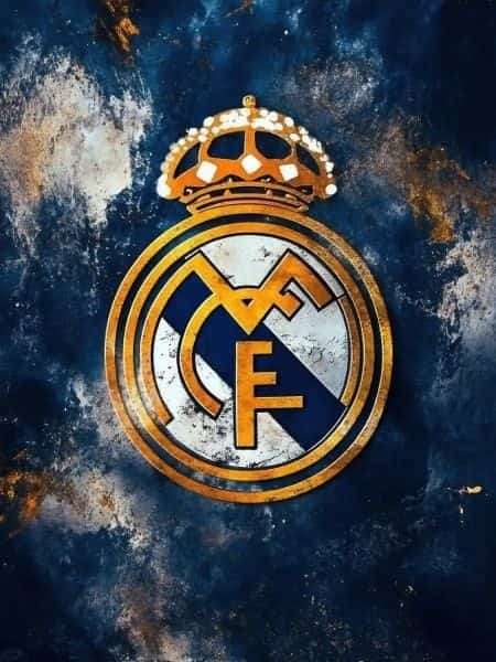 Starting as a Defensive Midfielder at Real Madrid novel cover