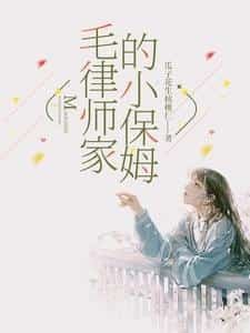The Female Nanny of the Male Lawyer's Family novel cover