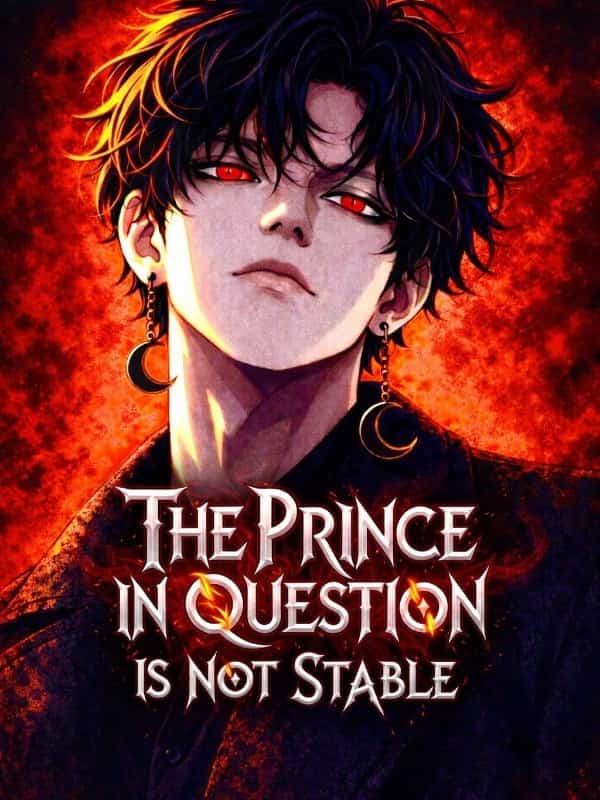 The Prince in Question Is Not Stable novel cover