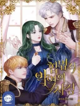 The Tragedy of The Villainess novel cover