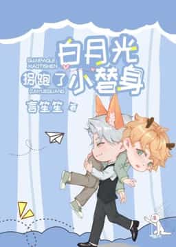 The White Moonlight Stole Away the Little Substitute