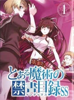 Toaru Majutsu no Index SS: Kanzaki novel cover