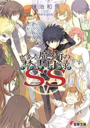 Toaru Majutsu no Index SS novel cover