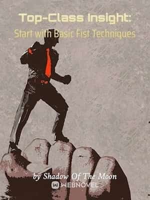 Top-Class Insight: Start with Basic Fist Techniques novel cover