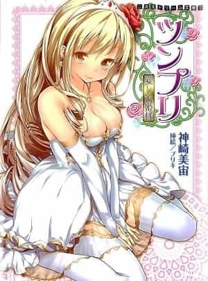 Tsunpri: Aishite Ohimesama novel cover