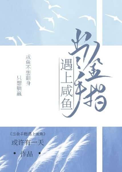 When Golden Finger Meets Salted Fish novel cover